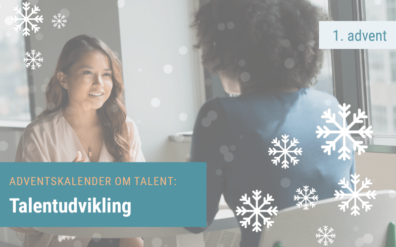 Talentudvikling - Potential in Action