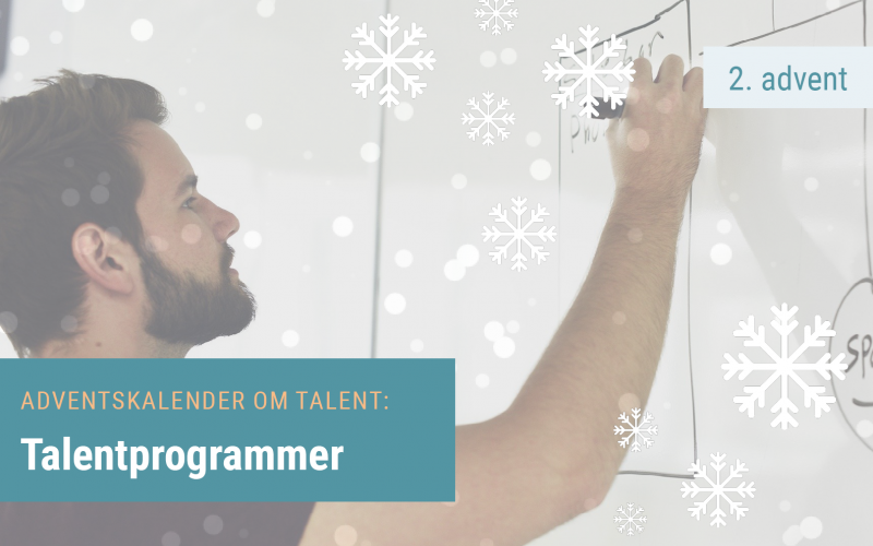 Talentprogrammer - Potential in Action